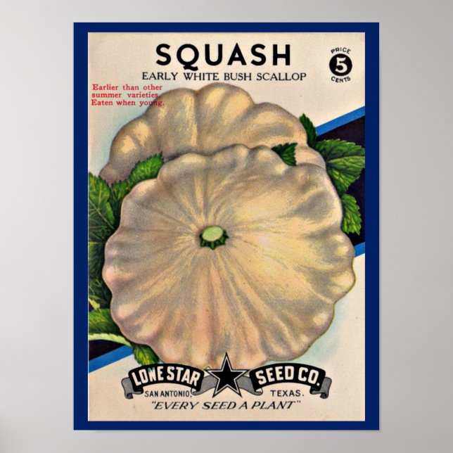Samenpaket der 50er Jahre, weißer Squash-Druck Poster (Vorne)