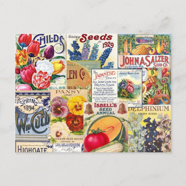 Samenpakete Postkarte (Vorderseite)