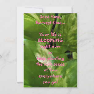 Samenzeit, Erntezeit, flatter Grußkarte