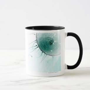 Samenzellen, die ein Ovum befruchten Tasse