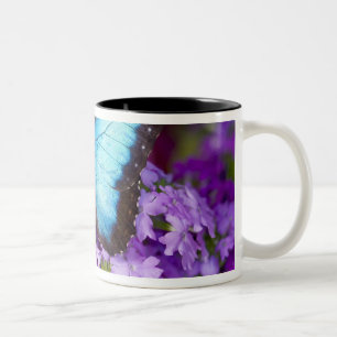 Sammamish Washington Tropischer Schmetterling Zweifarbige Tasse