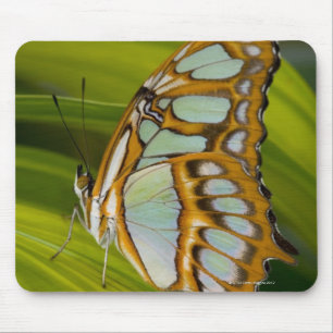 Sammamish, Washington, USA Mousepad