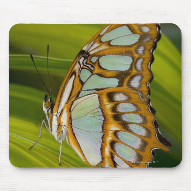 Sammamish, Washington, USA Mousepad (Vorne)