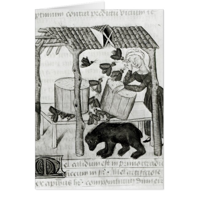 Sammeln des Honigs (Vorne)