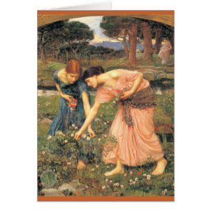 Sammeln von Rose während Ihres Mai - Frauen, die B