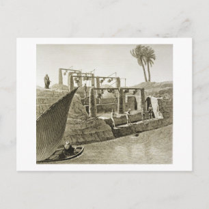 Sammeln von Wasser aus dem Nil, Platte 6 aus Volum Postkarte