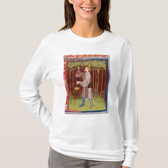 Sammelnfrucht T-Shirt (Vorderseite)