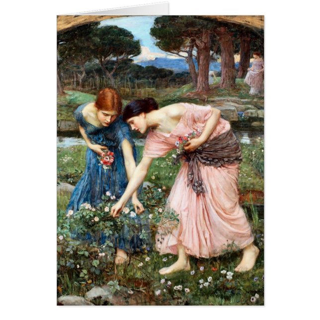 Sammle deine Rosenknospe, während du vielleicht Wa (Vorne)