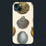 Sammlung der Konchologie Case-Mate iPhone Hülle<br><div class="desc">Wenn Sie heute nicht an den Strand kommen, erhalten Sie dieses klassische Bild dieses einzigartigen Images von Albertus Seba! Stellen Sie sich einen Strand vor, der Meeresanemonen entdeckt, die die Natur zu bieten hat. Diese Muscheln und Pflanze am Meer sind in diesem Gemälde von warmem Sand umgeben und eignen sich...</div>