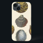 Sammlung der Konchologie iPhone 13 Hülle<br><div class="desc">Wenn Sie heute nicht an den Strand kommen, erhalten Sie dieses klassische Bild dieses einzigartigen Images von Albertus Seba! Stellen Sie sich einen Strand vor, der Meeresanemonen entdeckt, die die Natur zu bieten hat. Diese Muscheln und Pflanze am Meer sind in diesem Gemälde von warmem Sand umgeben und eignen sich...</div>