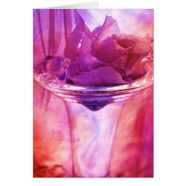 Sammlung "der lila Rose" (Vorne)