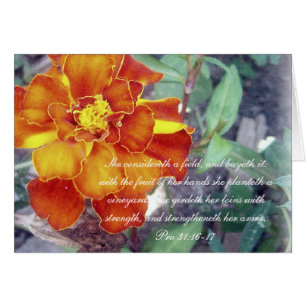 Sammlung ~ der Sprichwort-31 Pro31:16 - 17