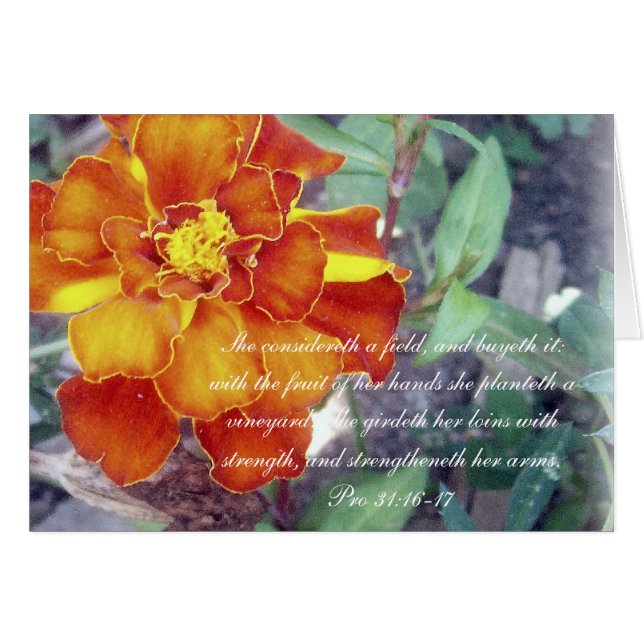 Sammlung ~ der Sprichwort-31 Pro31:16 - 17 (Vorderseite (Horizontal))