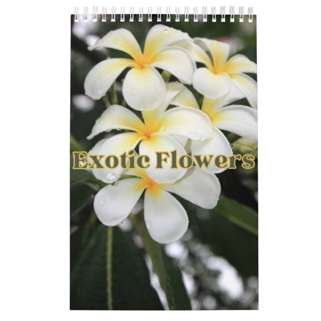 Sammlung exotischer Blume zeigt Wandkalender (Titelbild)
