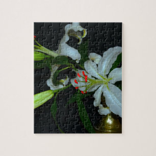 Sammlung irischer Muster und Blume