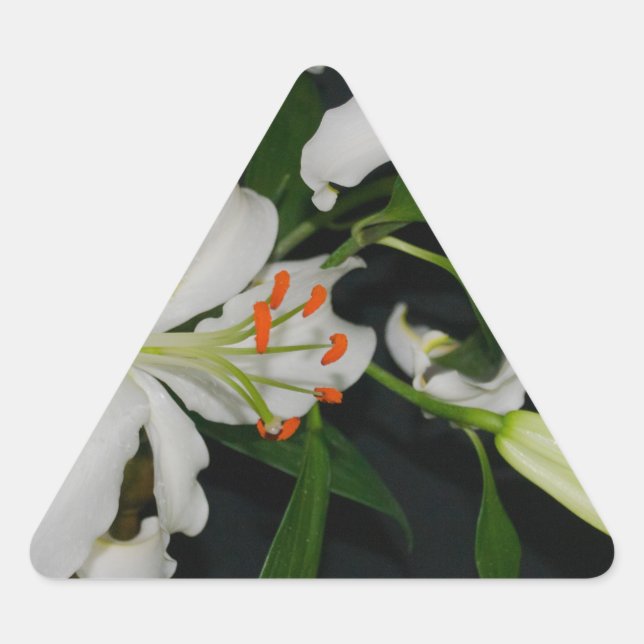 Sammlung irischer Muster und Blume Dreieckiger Aufkleber (Vorderseite)