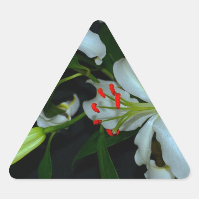 Sammlung irischer Muster und Blume Dreieckiger Aufkleber (Vorderseite)