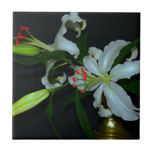 Sammlung irischer Muster und Blume Fliese