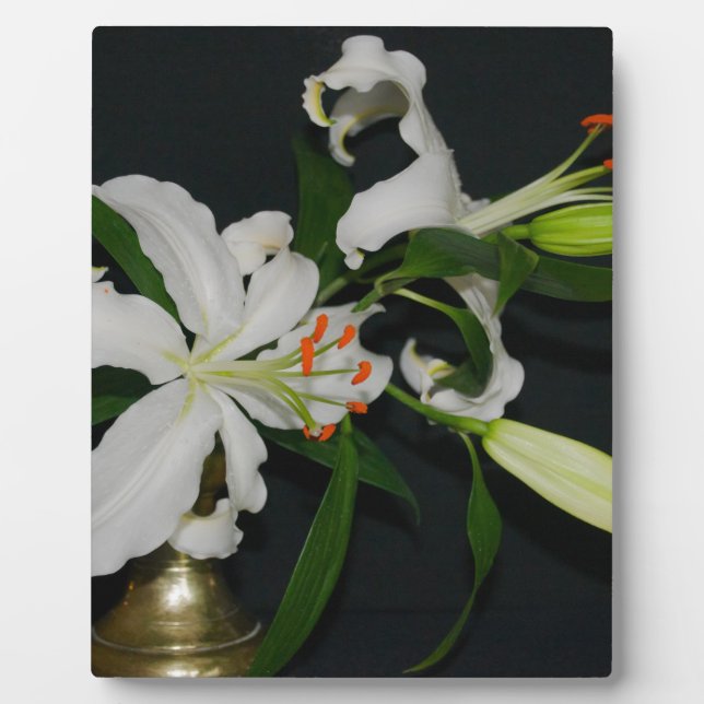 Sammlung irischer Muster und Blume Fotoplatte (Vorderseite)