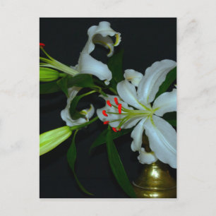 Sammlung irischer Muster und Blume Postkarte