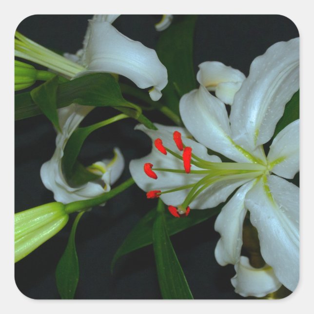 Sammlung irischer Muster und Blume Quadratischer Aufkleber (Vorderseite)