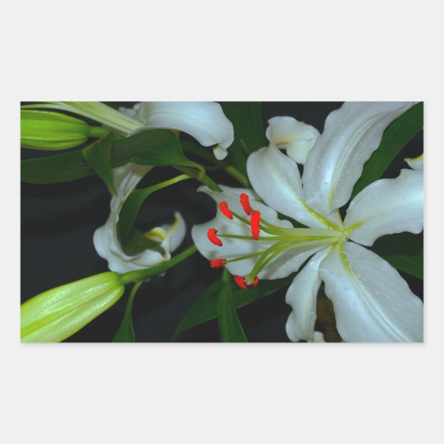 Sammlung irischer Muster und Blume Rechteckiger Aufkleber (Vorderseite)