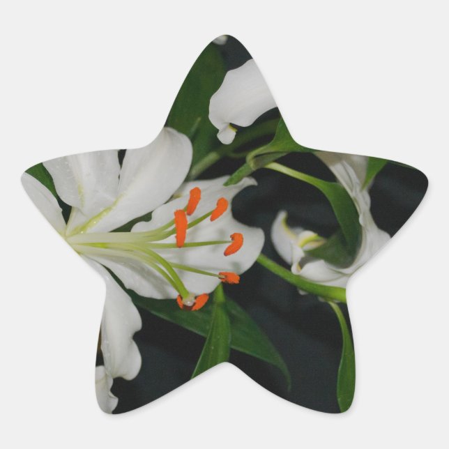 Sammlung irischer Muster und Blume Stern-Aufkleber (Vorderseite)