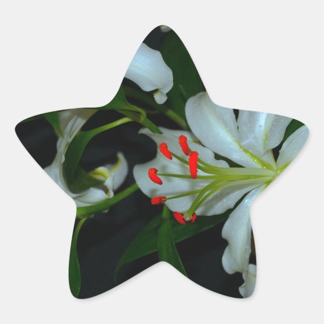 Sammlung irischer Muster und Blume Stern-Aufkleber (Vorderseite)