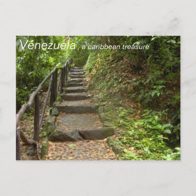 Sammlung:  Venezuela, ein karibischer Schatz Postkarte (Vorderseite)