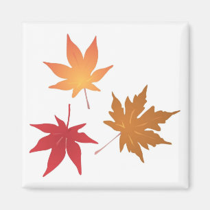 Sammlung von Blätter für Herbstmaple Magnet