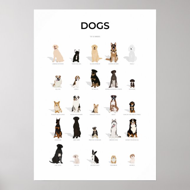 Sammlung von Hundebrassen Poster (Vorne)