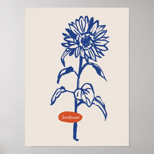 Sammlung von Naturkunstplakaten Poster (Vorne)