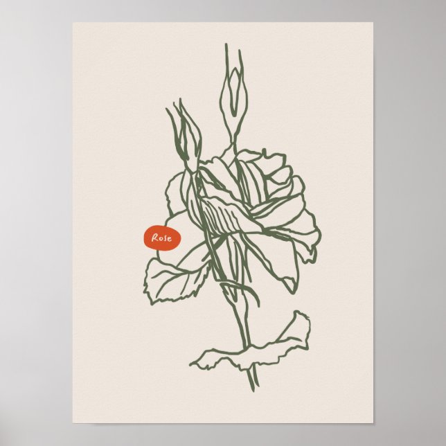 Sammlung von Naturkunstplakaten Poster (Vorne)