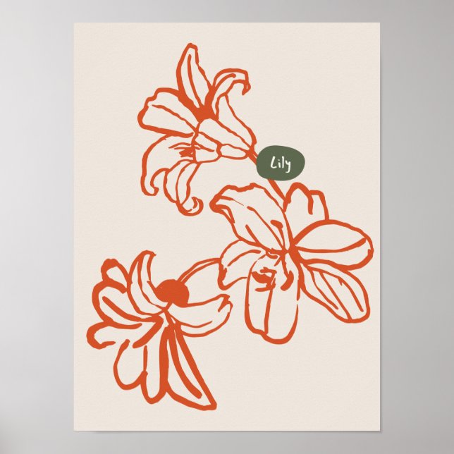 Sammlung von Naturkunstplakaten Poster (Vorne)