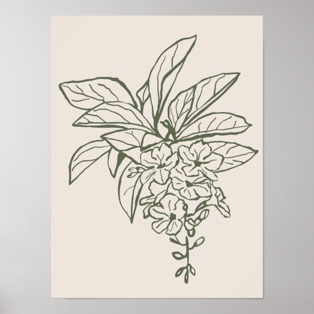 Sammlung von Naturkunstplakaten Poster (Vorne)