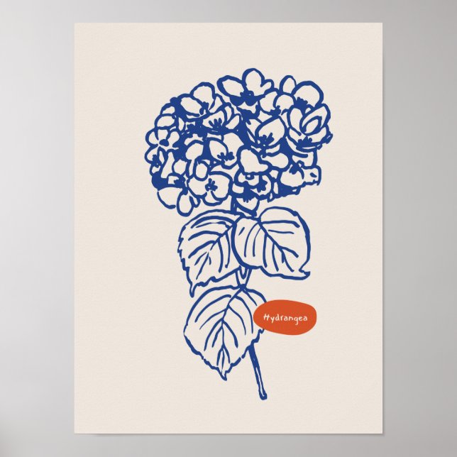 Sammlung von Naturkunstplakaten Poster (Vorne)