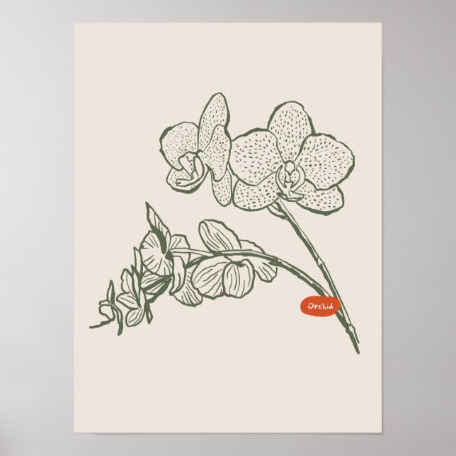 Sammlung von Naturkunstplakaten Poster (Vorne)