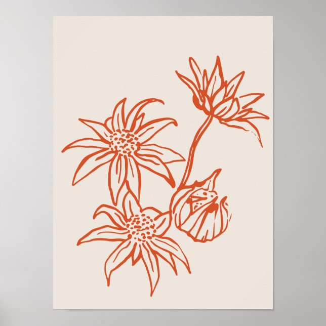 Sammlung von Naturkunstplakaten Poster (Vorne)