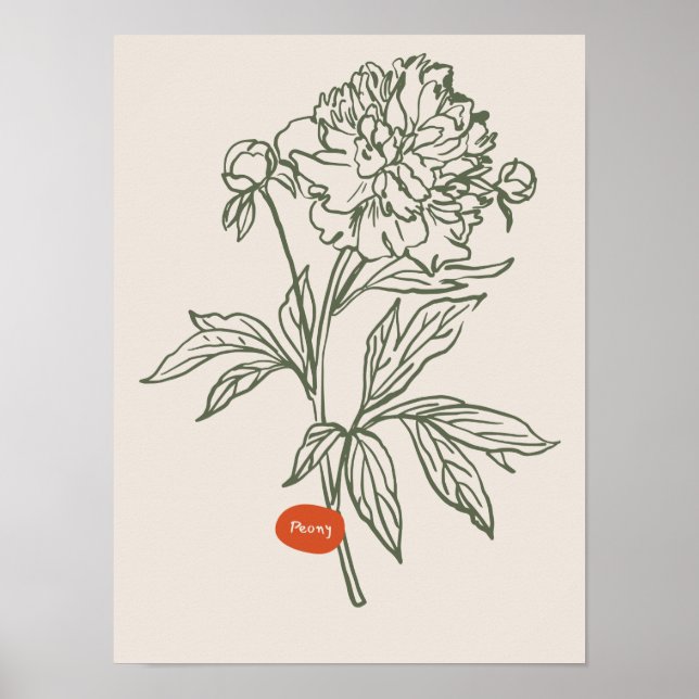 Sammlung von Naturkunstplakaten Poster (Vorne)