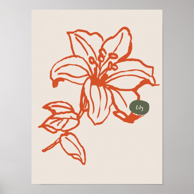 Sammlung von Naturkunstplakaten Poster (Vorne)