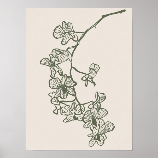 Sammlung von Naturkunstplakaten Poster (Vorne)