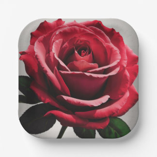 🎉 Sammlung von Party-Papier-Tellern 🍽️ Pappteller