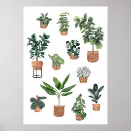 Sammlung von Pflanze 3 Poster