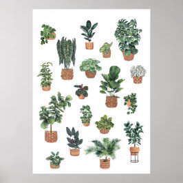 Sammlung von Pflanze 6 Poster