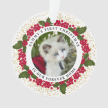 Sammy's erstes Forever-Zuhause Weihnachts-Cat-Foto
