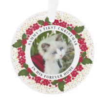 Sammy's erstes Weihnachtskatzenschmuck im Foto