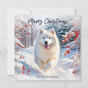 Samojede Hund im Schnee Frohe Weihnachten Grußkart