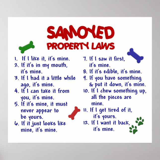 SAMOYE PL2 POSTER (Vorne)