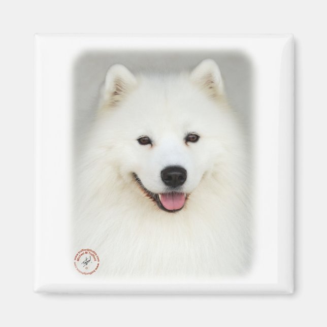 Samoyed 9Y566D-019 Magnet (Vorne)