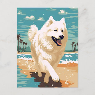 Samoyed am Strand Postkarte